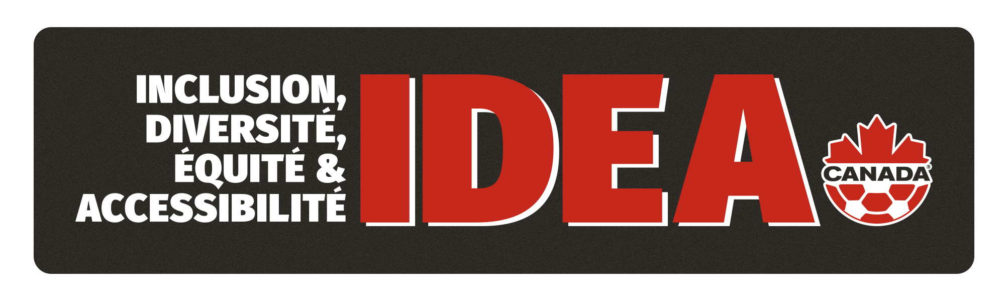 Introduction au Plan d’action IDÉA